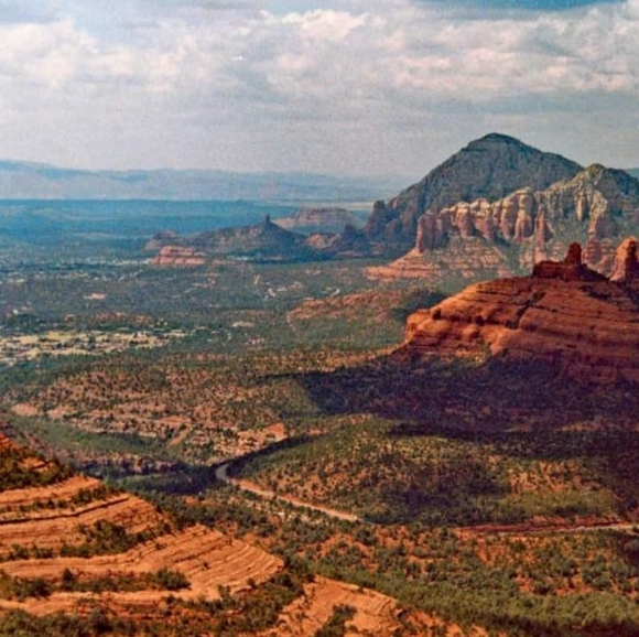 Meet your Posher, Lynnette - Picture 4 of 16